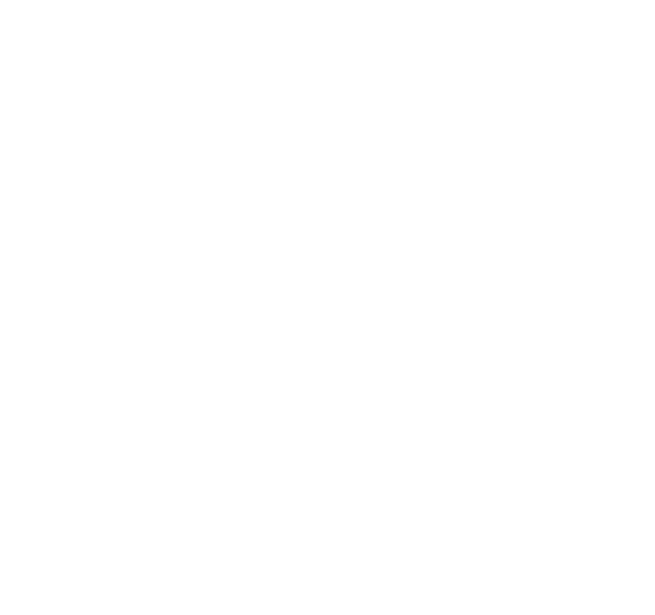 H ART PROJECT — Audio Visualization Team